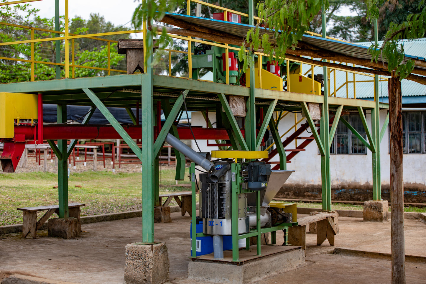 VARIOUS SMALL HOLDER FARMERS - UGANDA