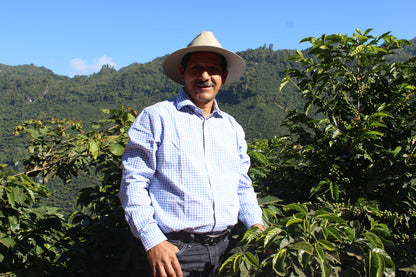 AURELIO VILLATORO - GUATEMALA