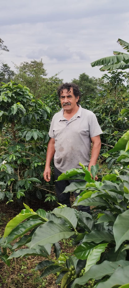 RICARDO TORRES - COLOMBIA