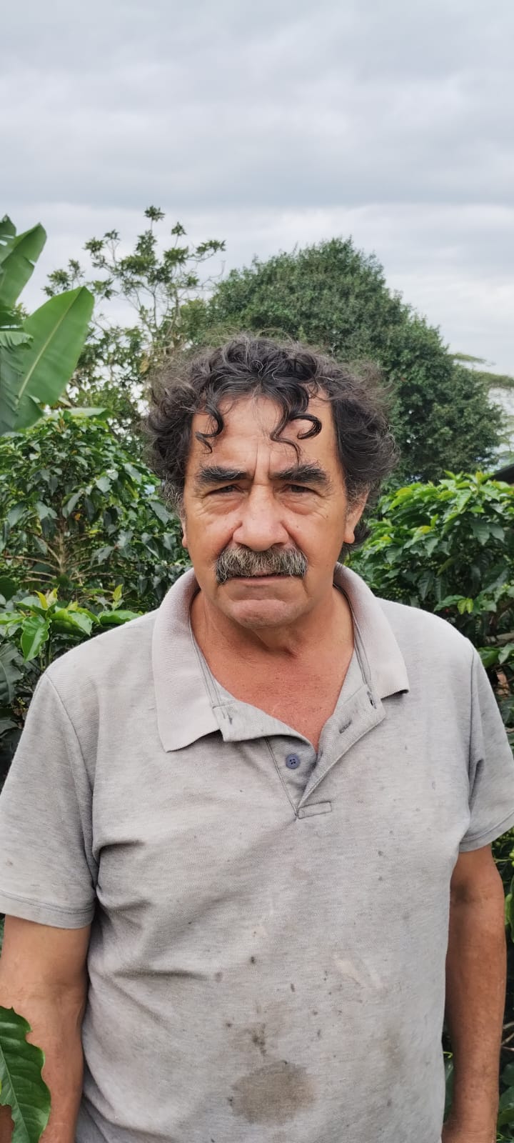 RICARDO TORRES - COLOMBIA