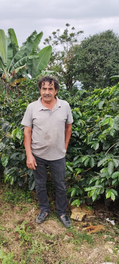 RICARDO TORRES - COLOMBIA