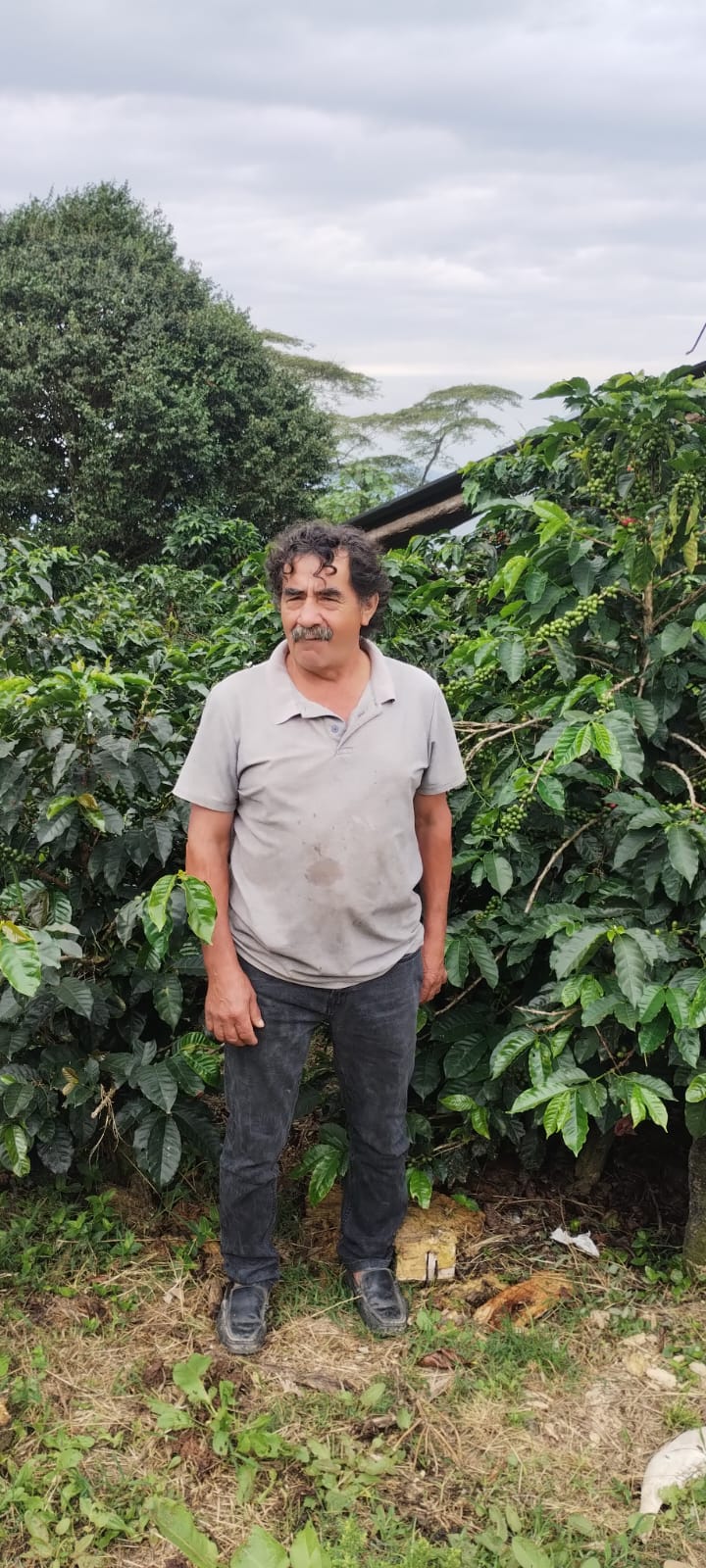 RICARDO TORRES - COLOMBIA