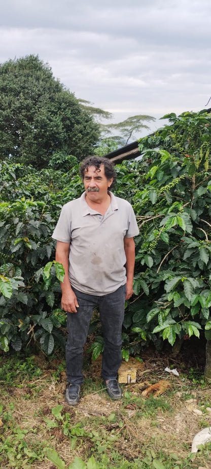 RICARDO TORRES - COLOMBIA
