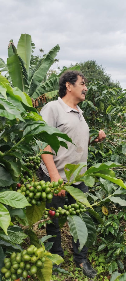 RICARDO TORRES - COLOMBIA