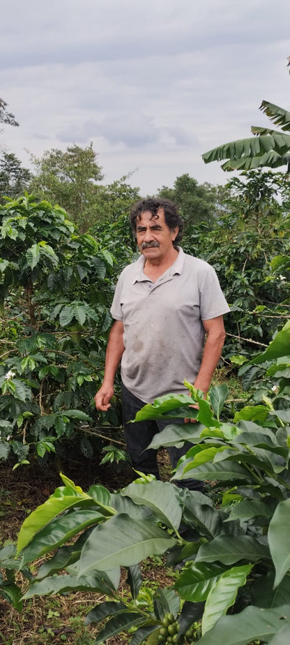 RICARDO TORRES - COLOMBIA