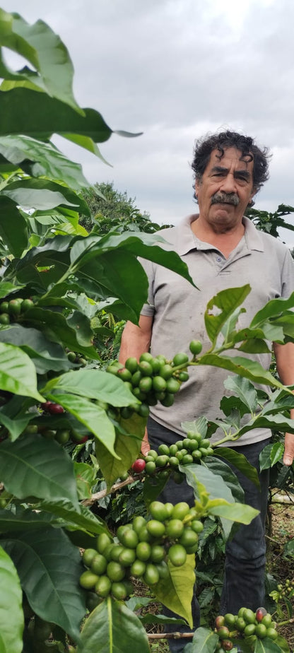 RICARDO TORRES - COLOMBIA