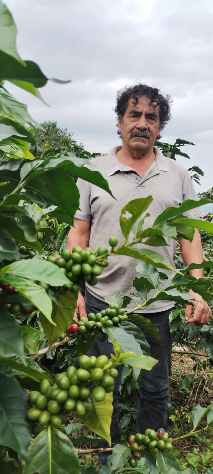 RICARDO TORRES - COLOMBIA