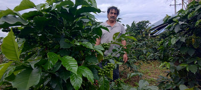 RICARDO TORRES - COLOMBIA