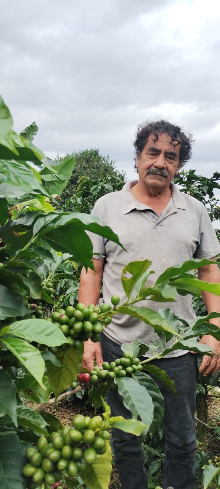 RICARDO TORRES - COLOMBIA