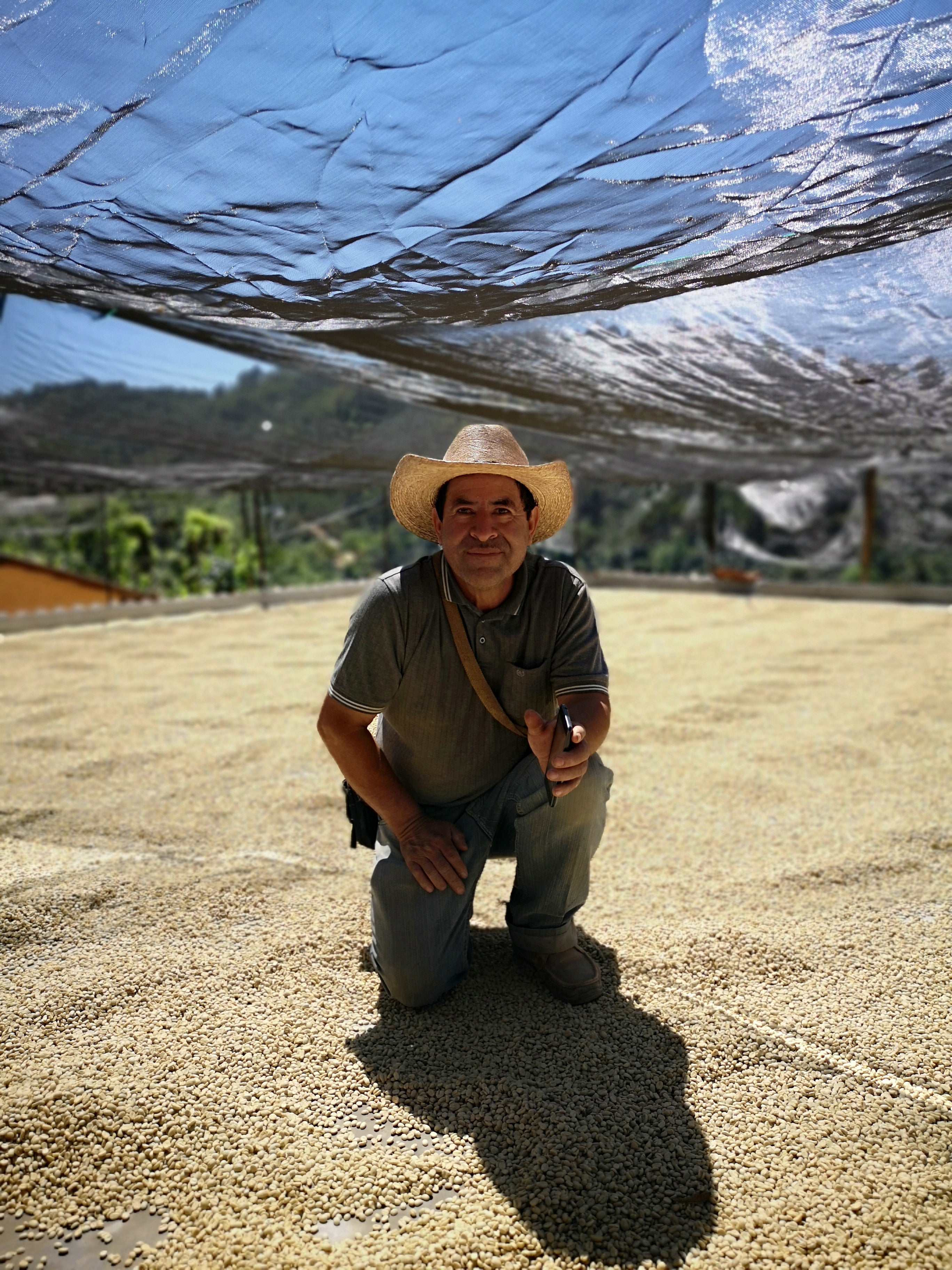 ペペロンチーノ LA ESPERANZA - GUATEMALA – Bespoken Coffee Roasters