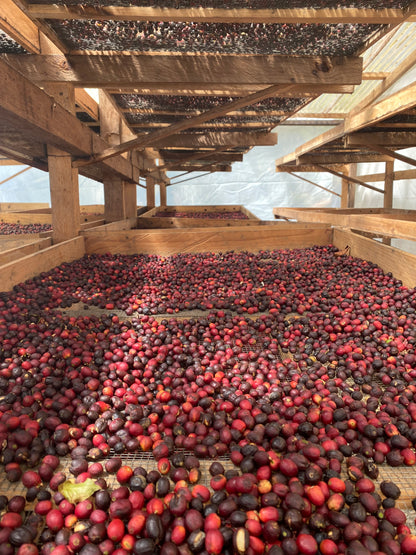 LA ESPERANZA - GUATEMALA