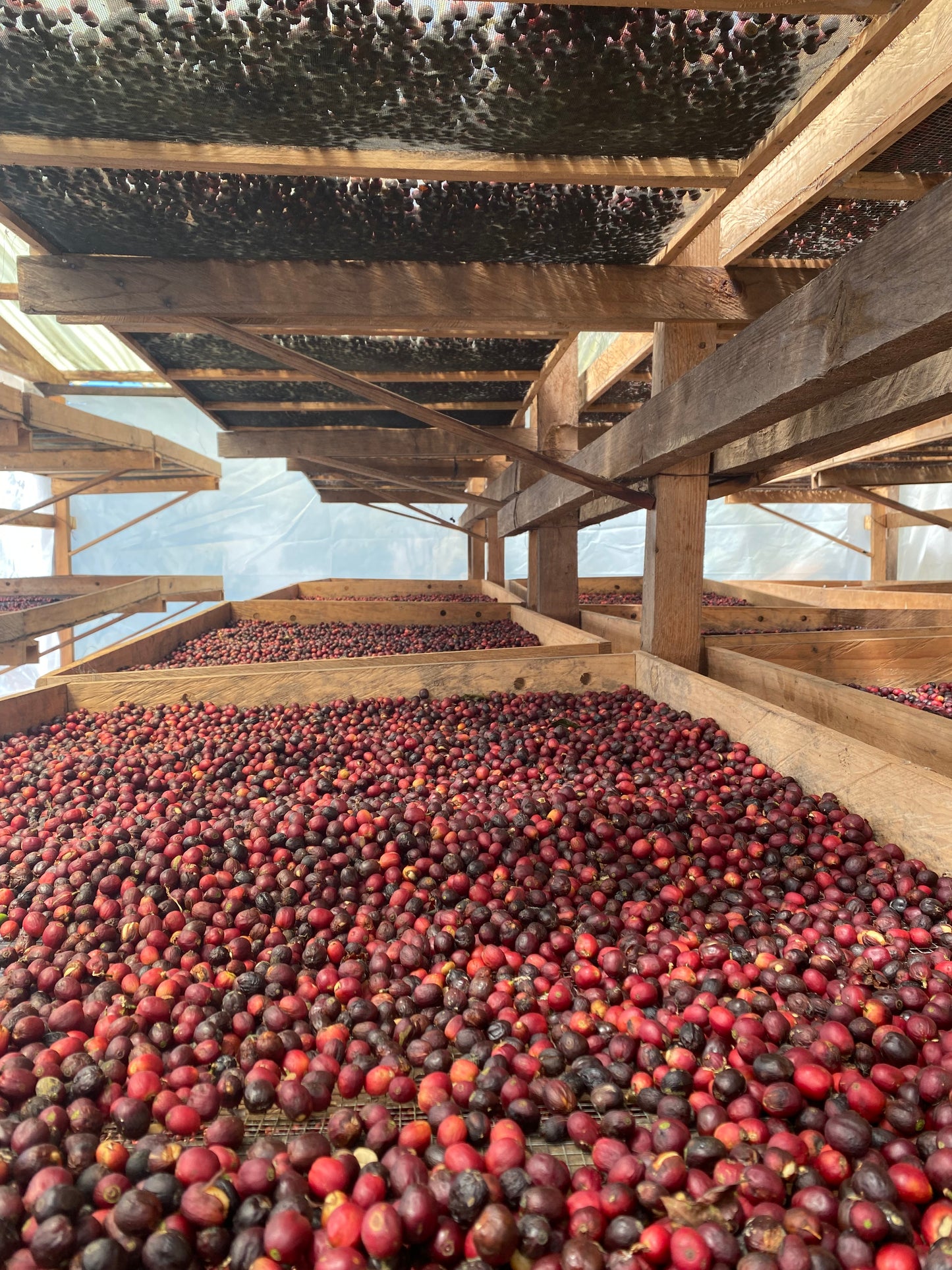 LA ESPERANZA - GUATEMALA