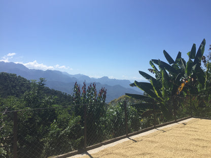 LA ESPERANZA - GUATEMALA