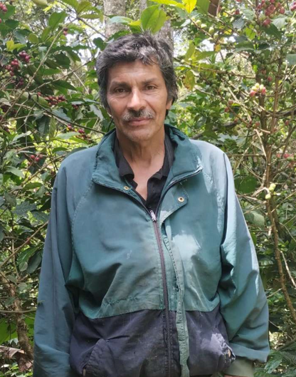 FERNANDO CARDENAS, LA PALMA & EL TUCAN - COLOMBIA