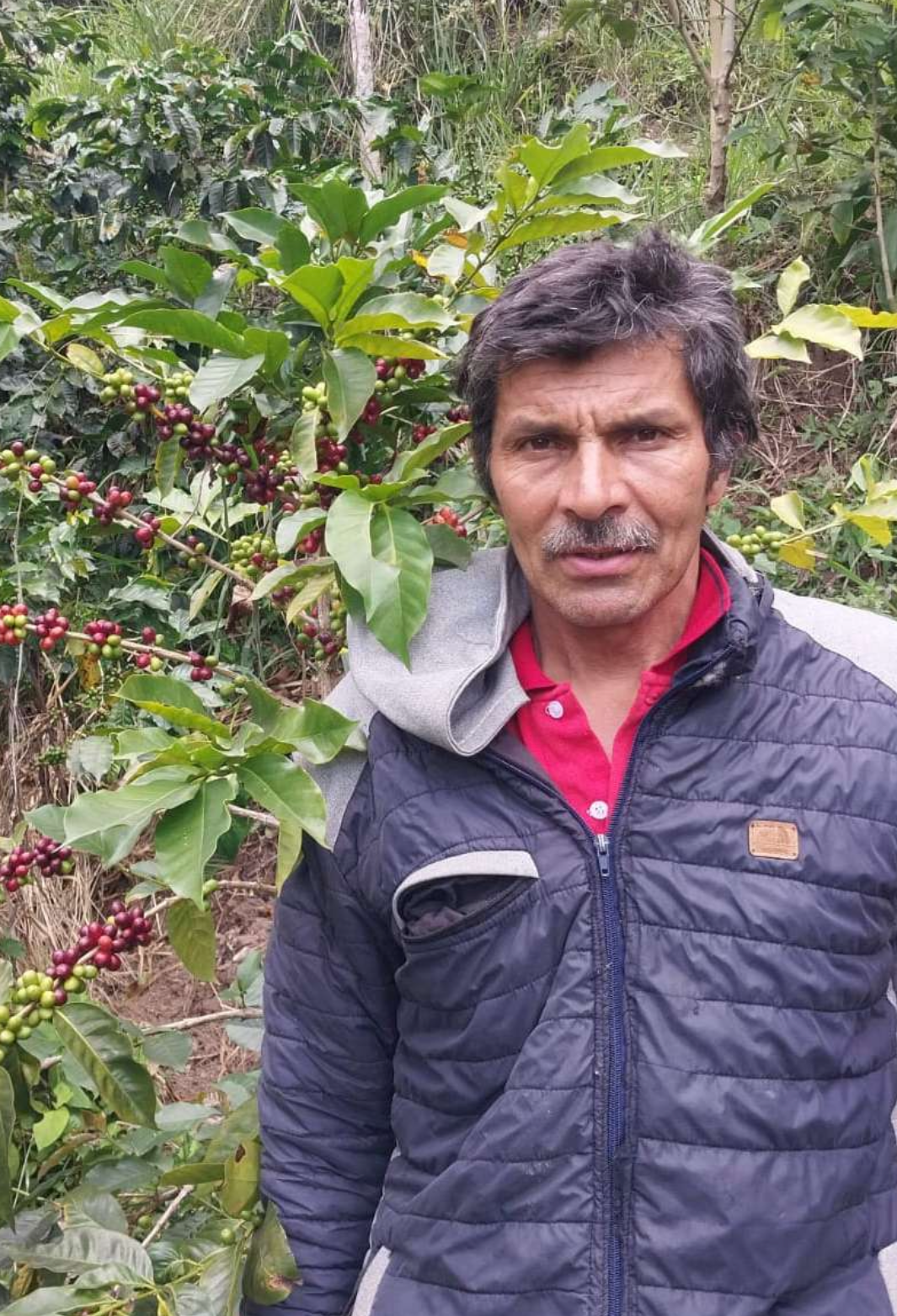 FERNANDO CARDENAS, LA PALMA & EL TUCAN - COLOMBIA – Bespoken