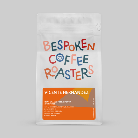 VICENTE HERNANDEZ - EL SALVADOR