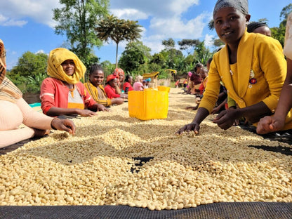 WORKA CHELBESA - ETHIOPIA